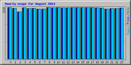 Hourly usage for August 2013