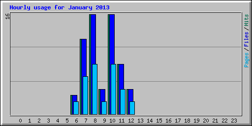 Hourly usage for January 2013
