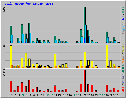 Daily usage for January 2013