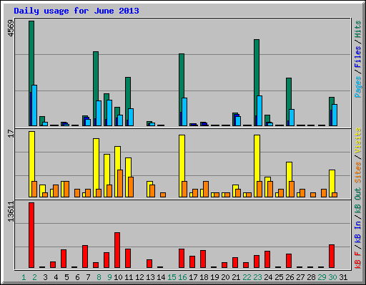 Daily usage for June 2013