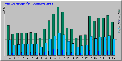 Hourly usage for January 2013