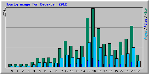 Hourly usage for December 2012