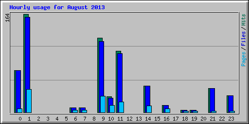 Hourly usage for August 2013