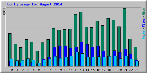 Hourly usage for August 2014